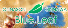 ブルーリーフ